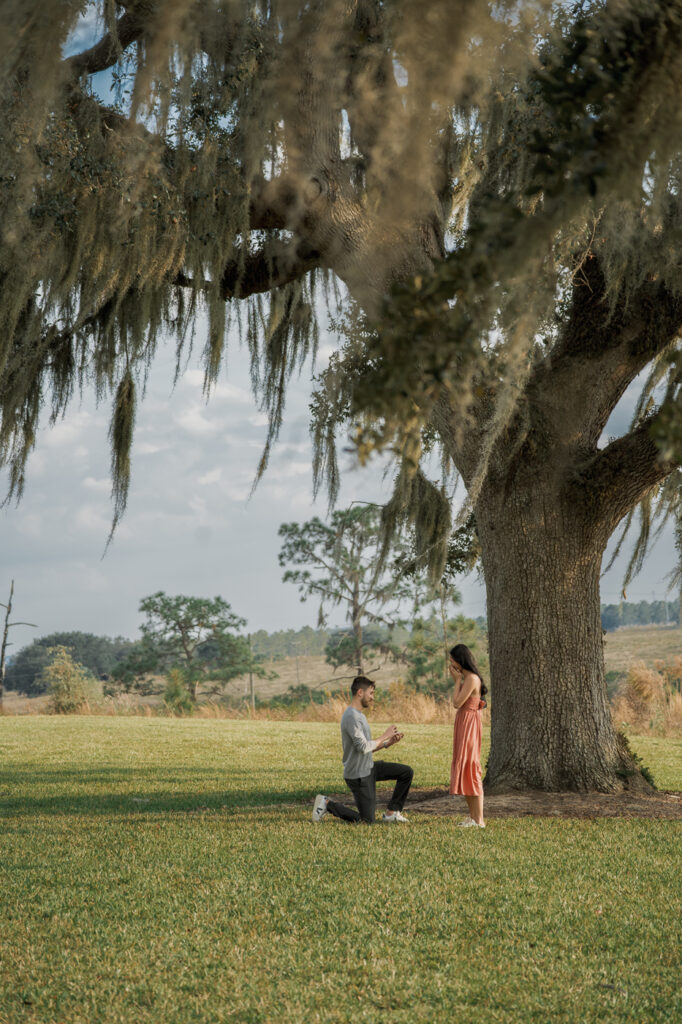 Surprise proposal photographer capturing the kneeling moment