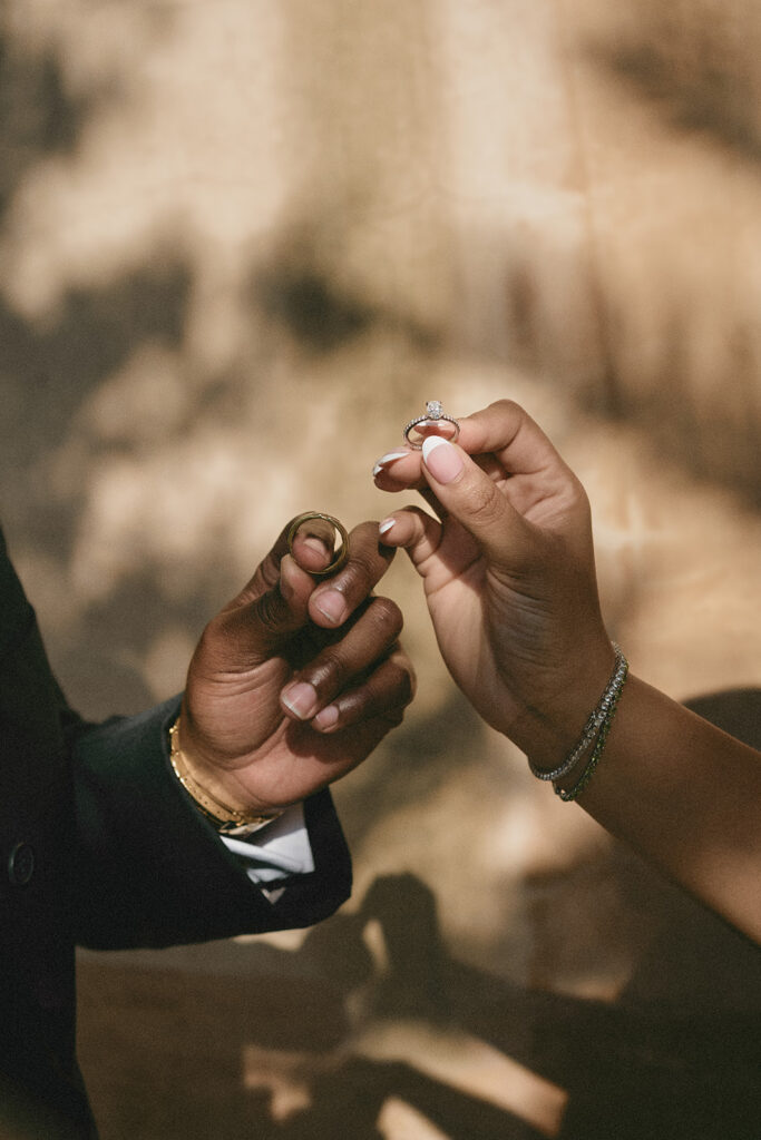 Detail shot of wedding rings from Casey and Nick's Bok Tower Gardens elopement day